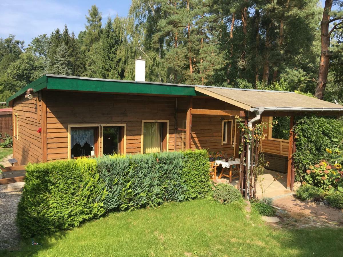 Holzhaus Trollbluemchen Am Wald Und See Neuruppin Eksteriør bilde
